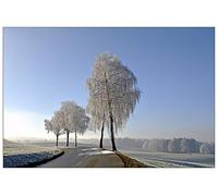 ArtPlaza Art Studio - Wintry Panneau Décoratif, Bois, Multicolore, 90 x 1.8 x 60 cmAS92666