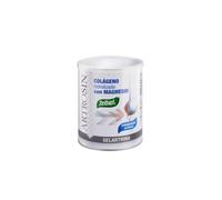 Artrosin Gelartrina Polvo 275g *