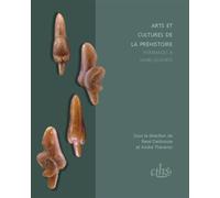 Arts et cultures de la préhistoire - René Desbrosse - Comite Des Travaux Historiques Etscientifiques - broché - Essai