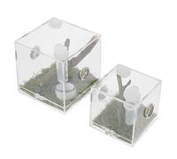 ARTSEWPLY 2 pièces Boîte Élevage Araignées et Insectes Acrylique Transparente avec Port Alimentation Ventilé pour Reptiles Petits Animaux