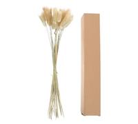 ARTSEWPLY 30 Pièces de Queue de Lapin Séchée Naturelle Décoration en Herbe Séchée pour Mariage et Maison Ornement Floral DIY Accessoire Déco Solide