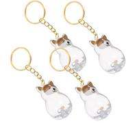 ARTSEWPLY 4 Pièces Porte Clés Mémoire Poils Danimaux Boîte Transparente Rangement Souvenirs Chien Accessoire Compact et Décoratif