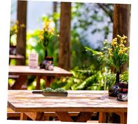 ARTSEWPLY Jardinière Bouteille de Vin Recyclée Multifonctionnelle pour Plantes Grasses Bol à Salade de Fruits et Bougeoir Verre Décoration Intérieure et Extérieure Mignonne