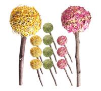 ARTSEWPLY Lot de 12 Bâtonnets à Mâcher Naturels pour Lapins Cobayes et Hamsters - Jouets de Dentition en Fibres Végétales Assortiment Fleur de Rose Calendula et Herbe Favorisant