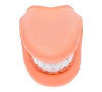 ARTSEWPLY Modèle Pédagogique de Dents Humaines en PVC Réaliste Taille Compacte pour Démonstration D’Enseignement du Brossage Outil Éducatif Portable pour Soins Dentaires et Hygiène Bucco-