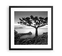 ARTTOR Affiche Decoration Murale Arbre Noir Et Blanc Vue Moderne Poster Cadre Noir 40x40cm Deco Affiches Murales Tableau Decoration Salon Chambre Cuisine Wall Art Design Decor P2BAC40x40-4297