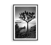ARTTOR Affiche Decoration Murale Arbre Noir Et Blanc Vue Moderne Poster Cadre Noir 61x91cm Deco Affiches Murales Tableau Decoration Salon Chambre Cuisine Wall Art Design Decor P2BPA61x91-4297