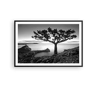 ARTTOR Affiche Decoration Murale Arbre Noir Et Blanc Vue Moderne Poster Cadre Noir 91x61cm Deco Affiches Murales Tableau Decoration Salon Chambre Cuisine Wall Art Design Decor P2BAA91x61-4297