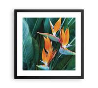 ARTTOR Affiche Decoration Murale Céleste Oiseau Fleur Moderne Poster Cadre Noir 40x40cm Deco Affiches Murales Tableau Decoration Salon Chambre Cuisine Wall Art Design Decor P2BAC40x40-4980