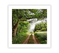 ARTTOR Affiche Decoration Murale Chemin nature forêt vert Moderne Poster sans Cadre 40x40cm Deco Affiches Murales Tableau Decoration Salon Chambre Cuisine Wall Art Design Decor P2XAC40x40-2637