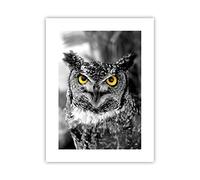 ARTTOR Affiche Decoration Murale Hibou oiseau nature Moderne Poster sans Cadre 30x40cm Deco Affiches Murales Tableau Decoration Salon Chambre Cuisine Wall Art Design Decor P2XPA30x40-1318
