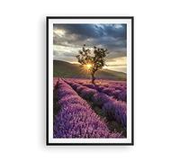 ARTTOR Affiche Decoration Murale lavande montagnes champ Moderne Poster Cadre Noir 61x91cm Deco Affiches Murales Tableau Decoration Salon Chambre Cuisine Wall Art Design Decor P2BPA61x91-3645