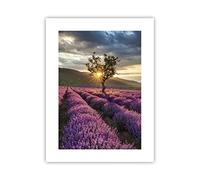 ARTTOR Affiche Decoration Murale lavande montagnes champ Moderne Poster sans Cadre 30x40cm Deco Affiches Murales Tableau Decoration Salon Chambre Cuisine Wall Art Design Decor P2XPA30x40-3645
