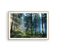 ARTTOR Affiche Decoration Murale Moderne Poster Cadre Chêne Clair 100x70cm Forêt Aube Le Soleil Deco Affiches Murales Wall Art Design Tableau Decoration Salon Chambre Cuisine Decor P2NAA100x70-4398