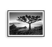 ARTTOR Affiche Decoration Murale Moderne Poster Cadre Noir 100x70cm Arbre Noir Et Blanc Vue Deco Affiches Murales Wall Art Design Tableau Decoration Salon Chambre Cuisine Decor P2BAA100x70-4297