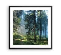 ARTTOR Affiche Decoration Murale Moderne Poster Cadre Noir 50x50cm Forêt Aube Le Soleil Deco Affiches Murales Wall Art Design Tableau Decoration Salon Chambre Cuisine Decor P2BAC50x50-4398