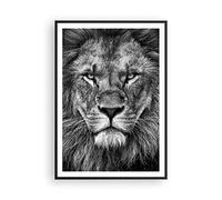 ARTTOR Affiche Decoration Murale Moderne Poster Cadre Noir 70x100cm Portrait Lion Noir Et Blanc Deco Affiches Murales Wall Art Design Tableau Decoration Salon Chambre Cuisine Decor P2BPA70x100-4494