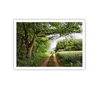 ARTTOR Affiche Decoration Murale Moderne Poster sans Cadre 100x70cm Chemin nature forêt vert Deco Affiches Murales Wall Art Design Tableau Decoration Salon Chambre Cuisine Decor P2XAA100x70-2637