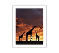 ARTTOR Affiche Decoration Murale Moderne Poster sans Cadre 40x50cm Girafe Afrique Soleil Safari Deco Affiches Murales Wall Art Design Tableau Decoration Salon Chambre Cuisine Decor P2XPA40x50-0507