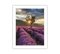 ARTTOR Affiche Decoration Murale Moderne Poster sans Cadre 40x50cm lavande montagnes champ Deco Affiches Murales Wall Art Design Tableau Decoration Salon Chambre Cuisine Decor P2XPA40x50-3645