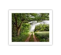 ARTTOR Affiche Decoration Murale Moderne Poster sans Cadre 50x40cm Chemin nature forêt vert Deco Affiches Murales Wall Art Design Tableau Decoration Salon Chambre Cuisine Decor P2XAA50x40-2637