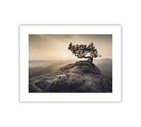 ARTTOR Affiche Decoration Murale Vieux Pin Montagnes Moderne Poster sans Cadre 40x30cm Deco Affiches Murales Tableau Decoration Salon Chambre Cuisine Wall Art Design Decor P2XAA40x30-4334