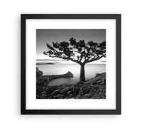 ARTTOR Deco Affiches Murales 30x30cm Affiche Decoration Murale Arbre Noir Et Blanc Vue Cuisine Wall Art Design Moderne Poster Cadre Noir Tableau Decoration Salon Chambre Decor P2BAC30x30-4297