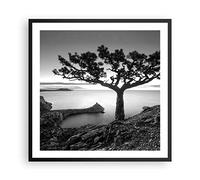 ARTTOR Deco Affiches Murales 60x60cm Affiche Decoration Murale Arbre Noir Et Blanc Vue Cuisine Wall Art Design Moderne Poster Cadre Noir Tableau Decoration Salon Chambre Decor P2BAC60x60-4297