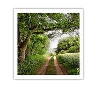 ARTTOR Deco Affiches Murales 60x60cm Affiche Decoration Murale Chemin nature forêt vert Cuisine Wall Art Design Moderne Poster sans Cadre Tableau Decoration Salon Chambre Decor P2XAC60x60-2637