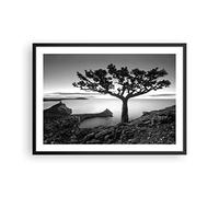 ARTTOR Deco Affiches Murales 70x50cm Affiche Decoration Murale Arbre Noir Et Blanc Vue Cuisine Wall Art Design Moderne Poster Cadre Noir Tableau Decoration Salon Chambre Decor P2BAA70x50-4297