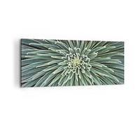 ARTTOR Impression sur Toile Moderne 100x40 cm Botanique Fleurs - 4905 | Agave Vert Usine Moderne Tableau Décoratif Décoration Murale Art Mural Toile Imprimée Salon Chambre Cuisine ARTTOR