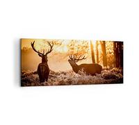 ARTTOR Impression sur Toile Moderne 100x40 cm Nature Animaux - 3043