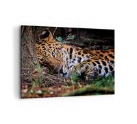 ARTTOR Impression sur Toile Moderne 100x70 cm Afrique Nature - 4493