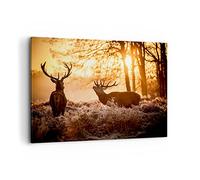 ARTTOR Impression sur Toile Moderne 100x70 cm Nature Animaux - 3043