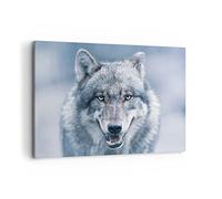 ARTTOR Impression sur Toile Moderne 100x70 cm Nature Animaux - 5073 | Loup Prédateur Sauvagerie Moderne Tableau Décoratif Grand Décoration Murale Art Mural Toile Imprimée Salon Chambre ARTTOR