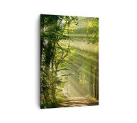 Moderne Impression sur Toile 70x100cm Image Tableau Decoration Murale forêt arbre nature Grand Tableaux Decoratifs Muraux Chambre Cuisine Vertical Deco Cadre Salon Art Wall Decor Design PA70x100-3661