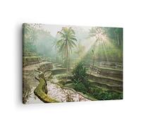 ARTTOR Moderne Impression sur Toile Terrasses Rizières Palmiers Image Tableau Decoration Murale 70x50cm Deco Cadre Décoration Salon Chambre Horizontal Tableaux Decoratifs Muraux Art Wall AA70x50-4665