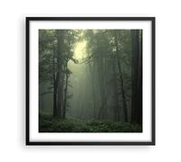 ARTTOR Poster Cadre Noir 50x50 cm Affiche Forêt Nature - 3543 - P2B | Brouillard Arbre Poster Mural Moderne Décoratif Art Mural Impression d'Art Salon Chambre Cuisine Tableau Décoration ARTTOR