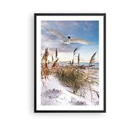ARTTOR Poster Cadre Noir 50x70 cm Affiche Paysages Maritime - 4902 - P2B | Mouette Mer Côte Poster Mural Moderne Décoratif Art Mural Impression d'Art Salon Chambre Cuisine Tableau Décoration ARTTOR