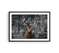 ARTTOR Poster Cadre Noir 70x50 cm Affiche Animaux - 4998 - P2B