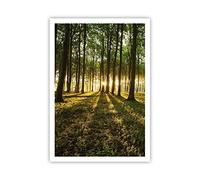 ARTTOR Poster sans Cadre 70x100 cm Affiche Botanique Paysages - 2510 - P2X
