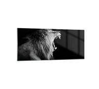 ARTTOR Tableau Décoratif en Verre 120x50cm Afrique Noir et Blanc - 4252