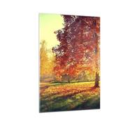 ARTTOR Tableau Décoratif en Verre 80x120 cm Botanique Paysages - 3654 | Parc Automne Arbre Impression sur Verre Grand Décoration Murale Verre Trempé Salon Chambre Cuisine Design Moderne ARTTOR