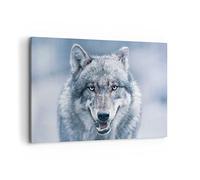 ARTTOR Tableau Décoratif sur Toile 120x80 cm Nature Animaux - 5073 | Loup Prédateur Sauvagerie Impression sur Toile Grand Décoration Murale Art Mural Toile Imprimée Salon Chambre Cuisine ARTTOR