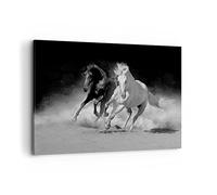 ARTTOR Tableau Décoratif sur Toile 120x80 cm Noir et Blanc Animaux - 4240
