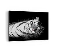 ARTTOR Tableau Décoratif sur Toile 120x80 cm Noir et Blanc Animaux - 4247