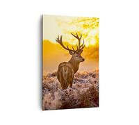 ARTTOR Tableau Décoratif sur Toile 80x120 cm Nature Animaux - 2552 | Automne Paysage Impression sur Toile Grand Décoration Murale Art Mural Toile Imprimée Chambre Cuisine Salon ARTTOR
