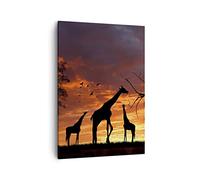ARTTOR Tableau sur Toile Décoratif 50x70 cm Afrique Nature - 0507