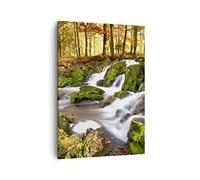 ARTTOR Tableau sur Toile Décoratif 50x70 cm Paysages Forêt - 2636
