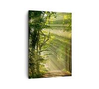 ARTTOR Tableau sur Toile Décoratif 50x70 cm Paysages Forêt - 3661